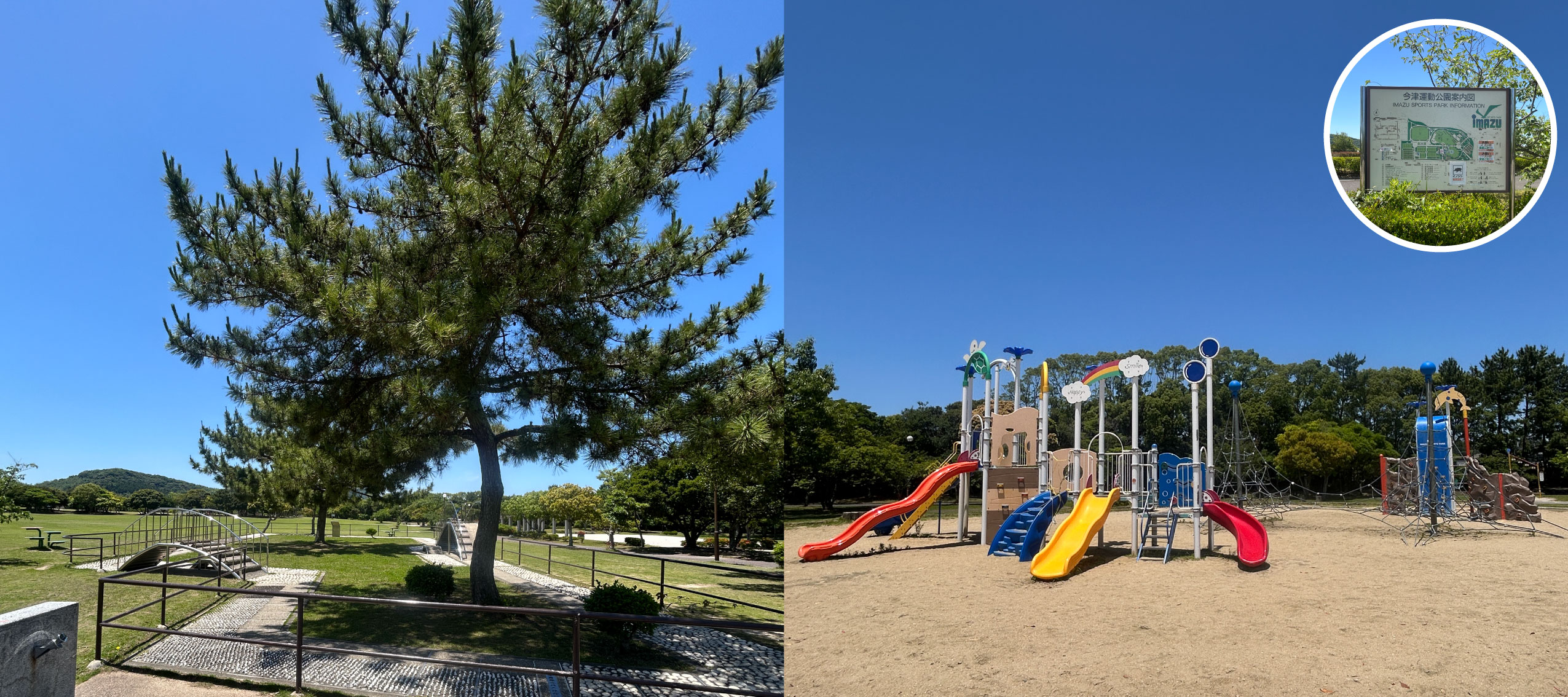 健康も遊びも!気持ちのいいひとときを♪今津運動公園